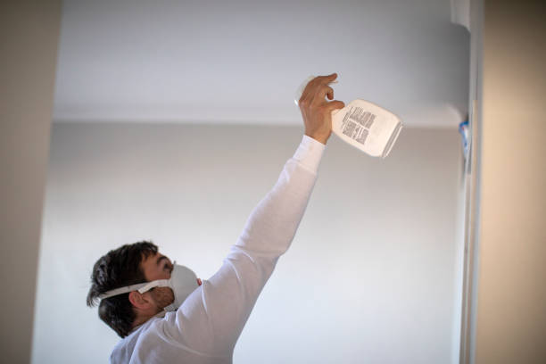 Best Commercial Mold Remediation in Inverness, FL