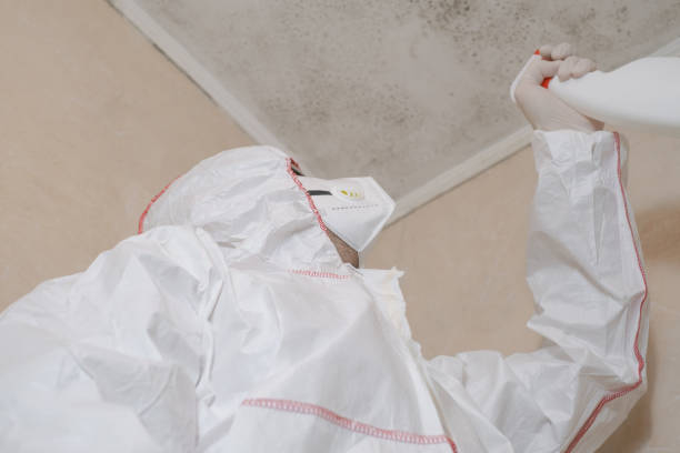 Best Industrial Mold Remediation in Inverness, FL